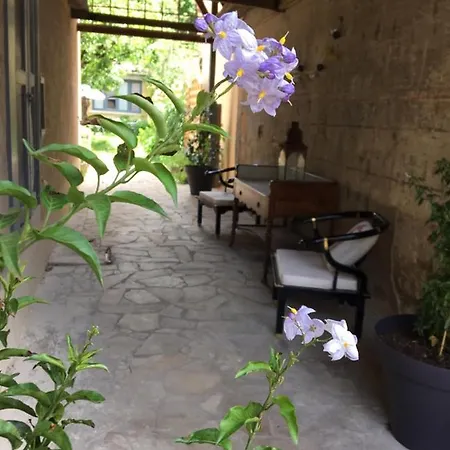Un Jardin En * Sarlat